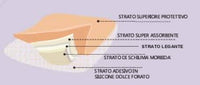 SILI-CARE BORDER - Medicazione in schiuma morbida di silicone (conf. 10 pz.)